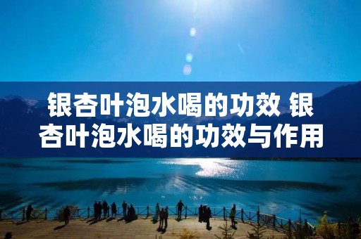 银杏叶泡水喝的功效 银杏叶泡水喝的功效与作用