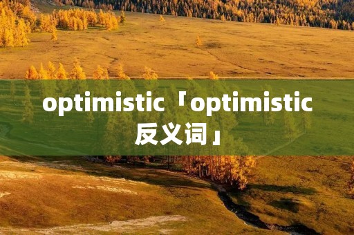 optimistic「optimistic反义词」