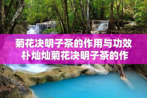 菊花决明子茶的作用与功效 朴灿灿菊花决明子茶的作用与功效
