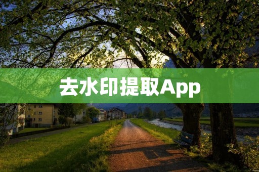 去水印提取App：轻松解决图片和视频去水印需求