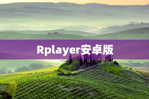 Rplayer安卓版：全能媒体播放器，让您畅享高品质视听体验