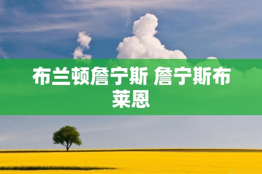 布兰顿詹宁斯 詹宁斯布莱恩 布兰顿詹宁斯 詹宁斯布莱恩