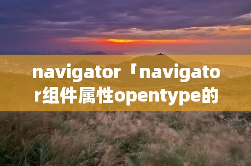navigator「navigator组件属性opentype的合法值」