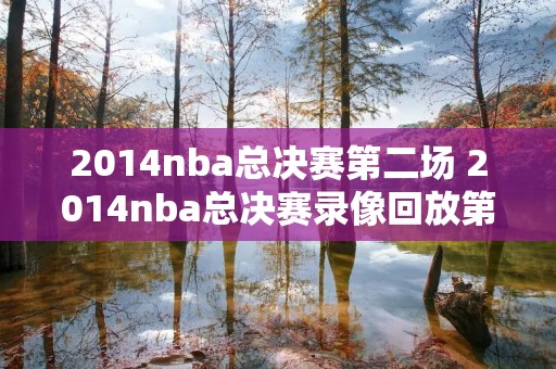 2014nba总决赛第二场 2014nba总决赛录像回放第三场