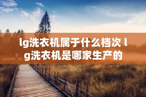 lg洗衣机属于什么档次 lg洗衣机是哪家生产的