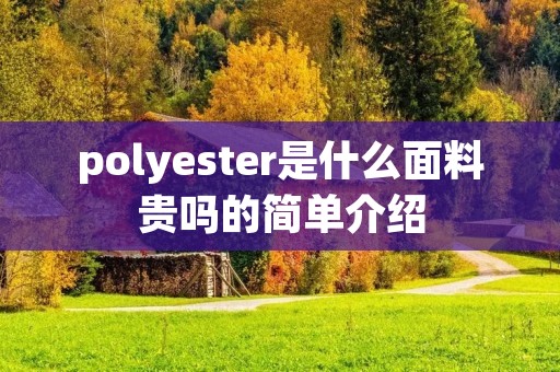 polyester是什么面料贵吗的简单介绍