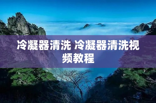 冷凝器清洗 冷凝器清洗视频教程