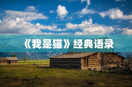 《我是猫》经典语录:深刻的人性观察与幽默的文学表达