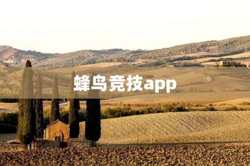 蜂鸟竞技app：打开电竞新世界
