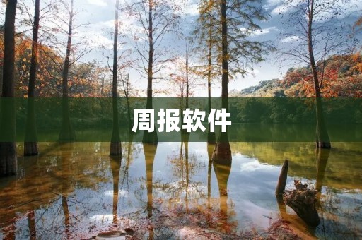 周报软件：提升企业效率的必备工具