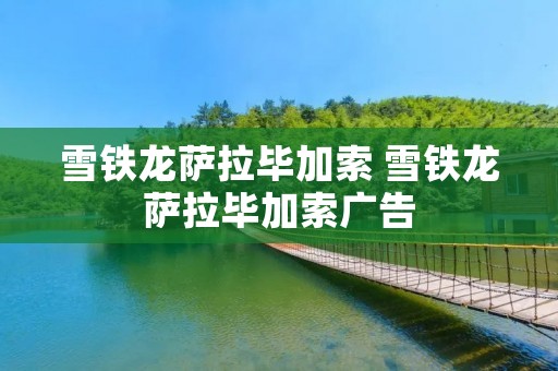 雪铁龙萨拉毕加索 雪铁龙萨拉毕加索广告