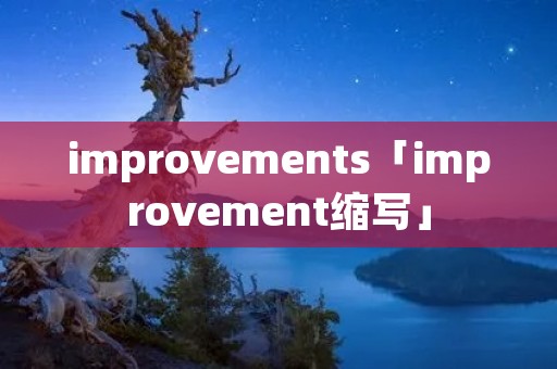 improvements「improvement缩写」