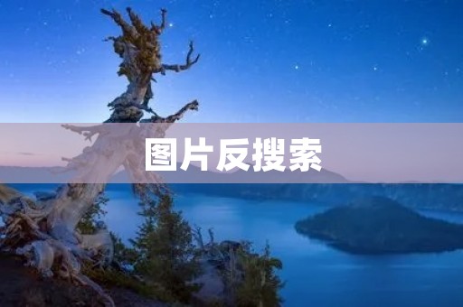 图片反搜索:保护个人隐私的必备技能 图片反搜索:保护个人隐私的必备技能