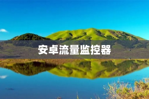 安卓流量监控器：实时记录网络流量，省心省钱的必备工具