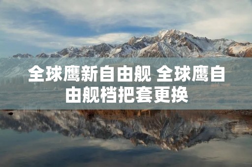 全球鹰新自由舰 全球鹰自由舰档把套更换