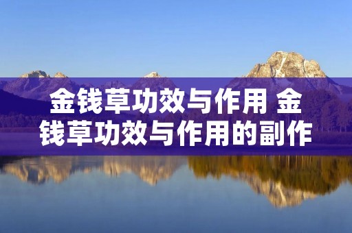 金钱草功效与作用 金钱草功效与作用的副作用