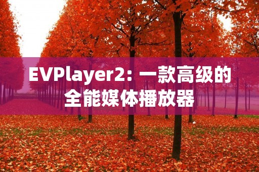 EVPlayer2: 一款高级的全能媒体播放器 EVPlayer2: 一款高级的全能媒体播放器