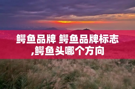 鳄鱼品牌 鳄鱼品牌标志,鳄鱼头哪个方向
