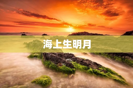 海上生明月：诗歌中的浪漫之美