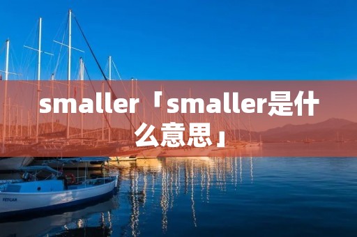 smaller「smaller是什么意思」