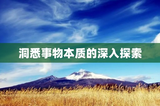 洞悉事物本质的深入探索