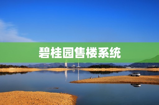 碧桂园售楼系统：提高销售效率的智能化工具