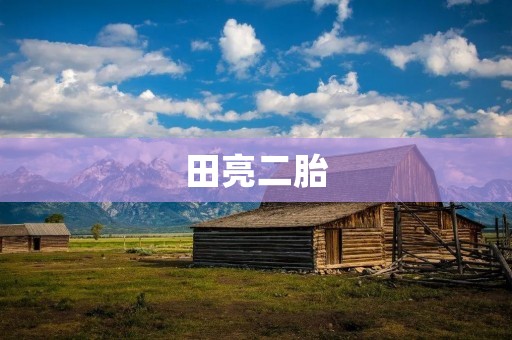 田亮二胎：家庭的喜悦与挑战