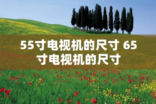 55寸电视机的尺寸 65寸电视机的尺寸 55寸电视机的尺寸 65寸电视机的尺寸