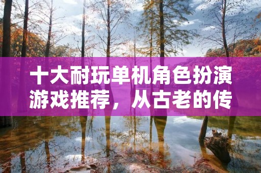十大耐玩单机角色扮演游戏推荐，从古老的传统RPG到现代的ARPG，这些游戏都有着丰富的剧情、多样的角色和各种各样的任务，让你可以尽情地探索游戏世界，打败敌人，成为最强的英雄。