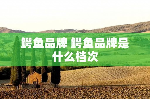 鳄鱼品牌 鳄鱼品牌是什么档次