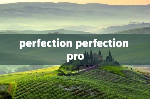 perfection perfection pro