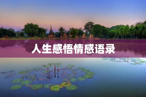 人生感悟情感语录：记录生命中的点滴感受