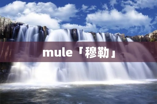 mule「穆勒」
