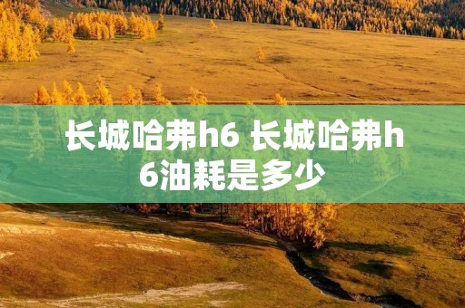 长城哈弗h6 长城哈弗h6油耗是多少