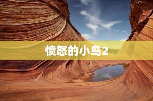 愤怒的小鸟2:愤怒鸟们再度出击,绝不放过猪国王! 愤怒的小鸟2:愤怒鸟们再度出击,绝不放过猪国王!