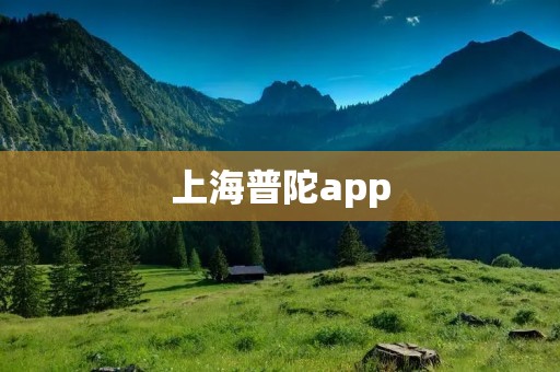 上海普陀app:便捷生活,畅享智慧城市 上海普陀app:便捷生活,畅享智慧城市