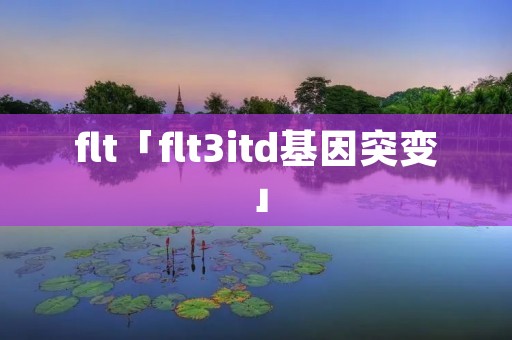 flt「flt3itd基因突变」