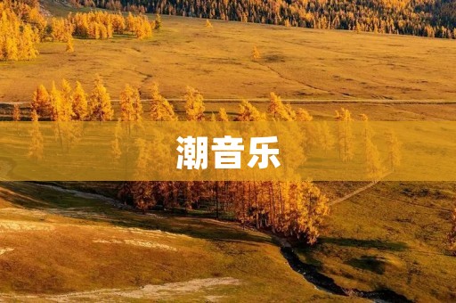 潮音乐:把音乐与时尚融为一体 潮音乐:把音乐与时尚融为一体