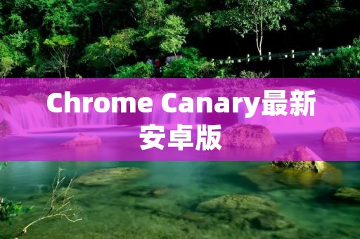 Chrome Canary最新安卓版:更快、更稳定、更先进的浏览器体验 Chrome Canary最新安卓版:更快、更稳定、更先进的浏览器体验