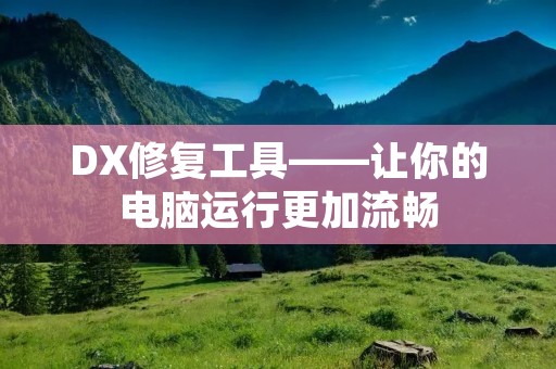DX修复工具——让你的电脑运行更加流畅 DX修复工具——让你的电脑运行更加流畅