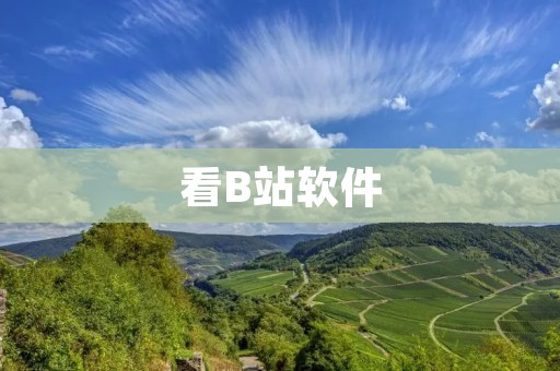 看B站软件：了解这个爆火的视频平台