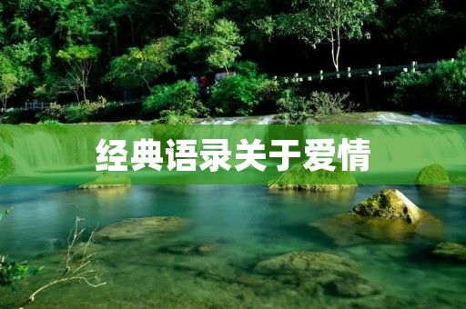 经典语录关于爱情:爱情的美好与痛苦
