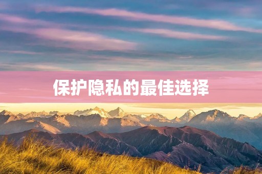 保护隐私的最佳选择：私密浏览器app