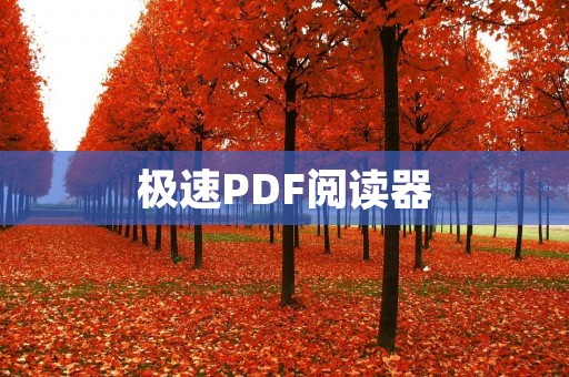 极速PDF阅读器：快速、高效、便捷的PDF阅读工具