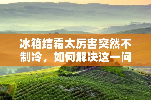 冰箱结霜太厉害突然不制冷,如何解决这一问题? 冰箱结霜太厉害突然不制冷,如何解决这一问题?