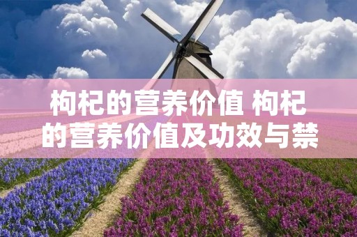 枸杞的营养价值 枸杞的营养价值及功效与禁忌 枸杞的营养价值 枸杞的营养价值及功效与禁忌