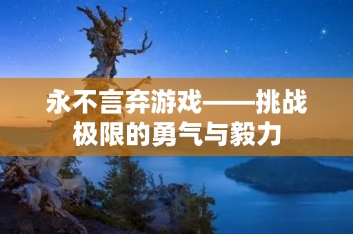 永不言弃游戏——挑战极限的勇气与毅力 永不言弃游戏——挑战极限的勇气与毅力
