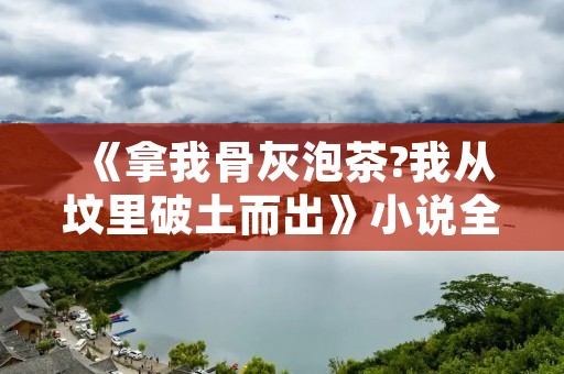 《拿我骨灰泡茶?我从坟里破土而出》小说全集简介