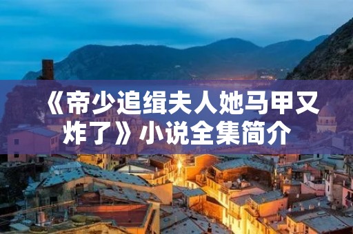《帝少追缉夫人她马甲又炸了》小说全集简介 《帝少追缉夫人她马甲又炸了》小说全集简介