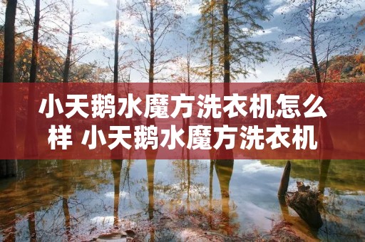 小天鹅水魔方洗衣机怎么样 小天鹅水魔方洗衣机怎么样波轮